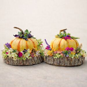 Thu Oct 29 Pumpkins n Petals at Hardwick Vineyard and Winery 261029181